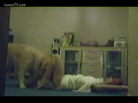 dog llikes to fuck her also